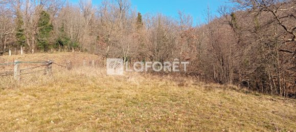 1 bedroom Land in Prats-de-Mollo-la-Preste, France No. 113749 11