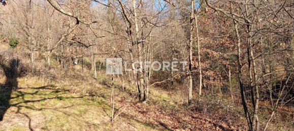 1 bedroom Land in Prats-de-Mollo-la-Preste, France No. 113749 12