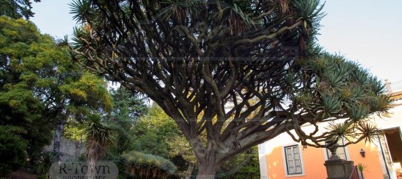 7 غرف نوم قلاع في Oeiras, Portugal رقم 165739 9