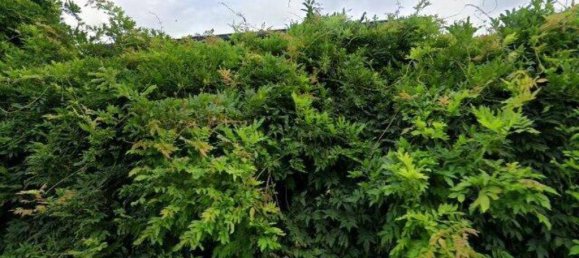 Квартира с 4 спальнями в Лентате суль Севезо, Италия № 281694 10