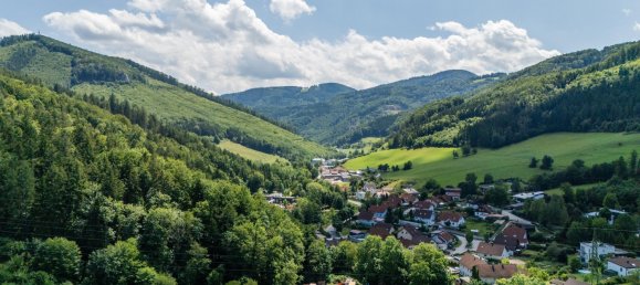 7-Zimmer Haus in Hainfeld, Austria, Nr. 195175 25