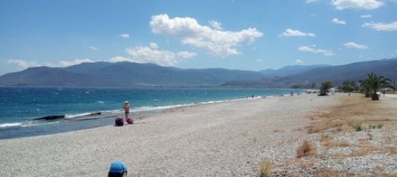 2030m² Hotel in Arcadia, Greece No. 2654 12