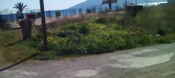 2030m² Hotel in Arcadia, Greece No. 2654 3