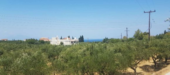  Hotel in Zakynthos, Greece No. 579 4