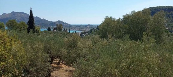 Terra em Zakynthos, Greece N.º 579 4