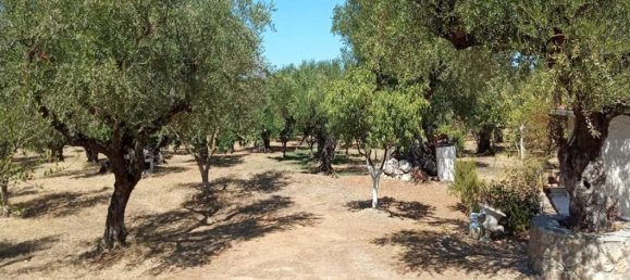  Hotel in Zakynthos, Greece No. 579 10