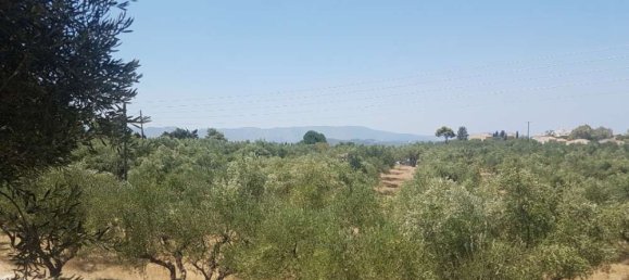  Hotel in Zakynthos, Greece No. 579 3