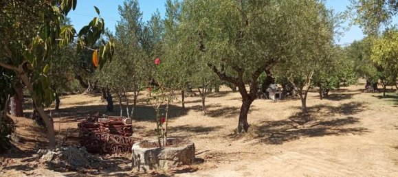  Hotel in Zakynthos, Greece No. 579 7