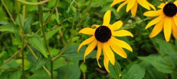 5 rooms Townhouse in Karlsruhe, Germany No. 331714 10