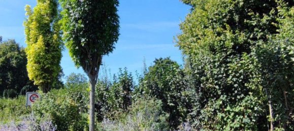 5 rooms Townhouse in Karlsruhe, Germany No. 331714 24