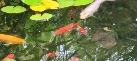 5 rooms Townhouse in Karlsruhe, Germany No. 331714 15