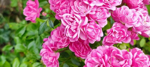 5 rooms Townhouse in Karlsruhe, Germany No. 331714 31