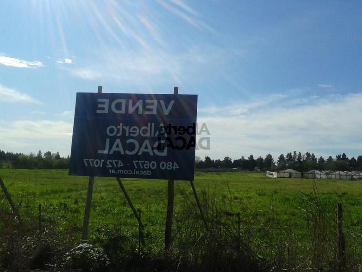  Land in Campo Creado, Argentina No. 33768