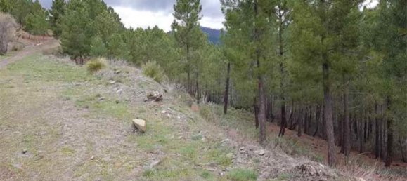 Grundstück in Madrid, Spain, Nr. 86080 4