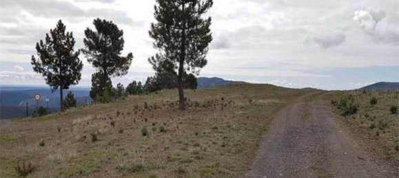 Grundstück in Madrid, Spain, Nr. 86080 6