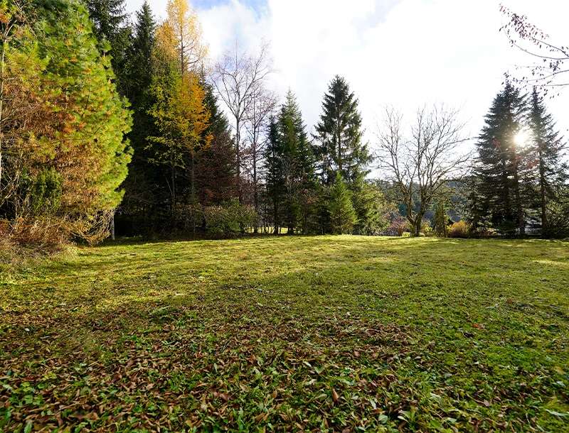  قطعة أرض في Ebenau, Austria رقم 107505