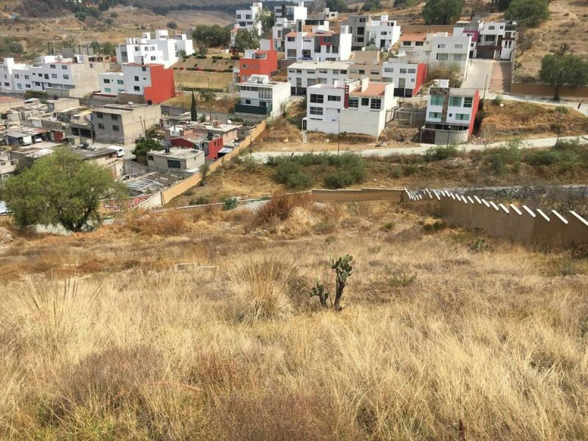  قطعة أرض في Ciudad Lopez Mateos, Mexico رقم 204134