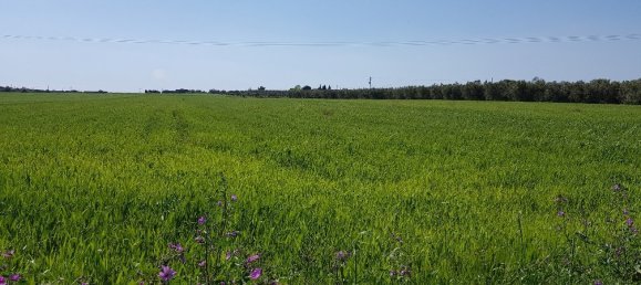 Отель, гостиница 16856м² в Халкидики, Греция № 5745 2