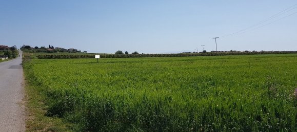 Отель, гостиница 16856м² в Халкидики, Греция № 5745 6