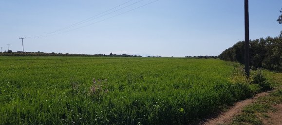 Отель, гостиница 16856м² в Халкидики, Греция № 5745 5