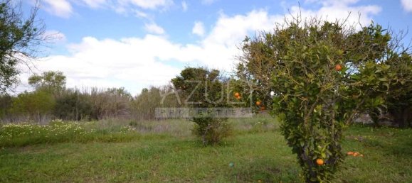 2 bedrooms House in Loule, Portugal No. 13879 37