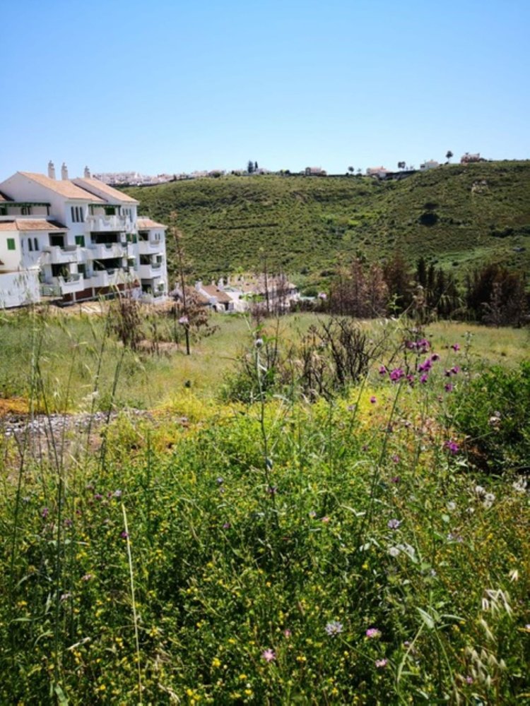 Земельный участок 8000м² в Сан-Луис-де-Сабинильяс, Испания № 149456