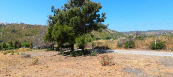 Земельный участок 8000м² в Сан-Луис-де-Сабинильяс, Испания № 149456 9