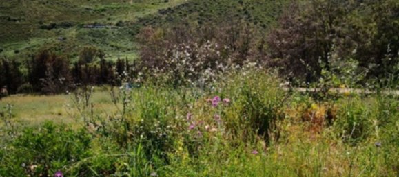 Земельный участок 8000м² в Сан-Луис-де-Сабинильяс, Испания № 149456 2