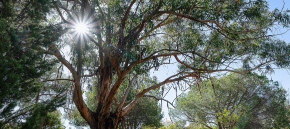 3 bedrooms House in Lagoa, Portugal No. 125402 15