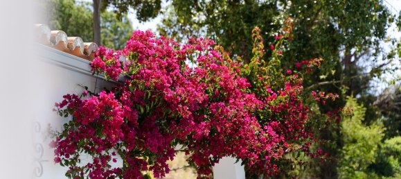 3 bedrooms House in Lagoa, Portugal No. 125402 8