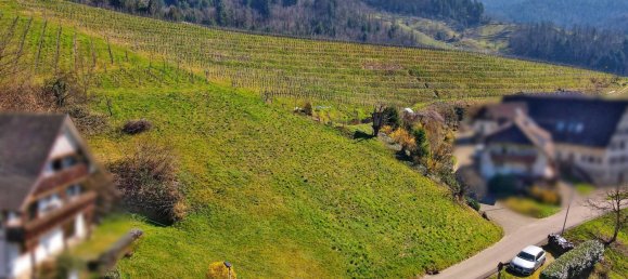 Grundstück in Ortenaukreis, Germany, Nr. 90028 5