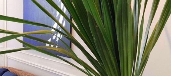 2 chambres Condo à Watthana, Thailand No. 9393 2