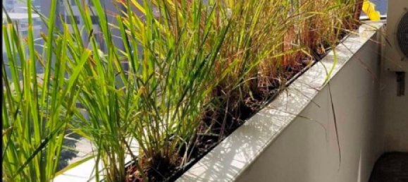 2 chambres Condo à Watthana, Thailand No. 9393 8