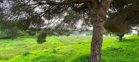 Land in Quarteira, Portugal No. 60952 24