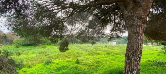 Land in Quarteira, Portugal No. 60952 23