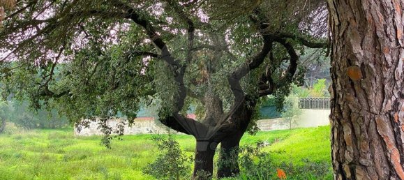 Land in Quarteira, Portugal No. 60952 26