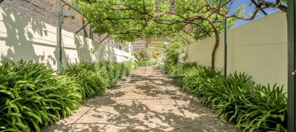 5 bedrooms Villa in Porto da Cruz, Portugal No. 141973 27