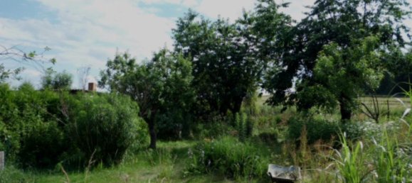 Земельный участок в Вюрцбург, Германия № 315751 2