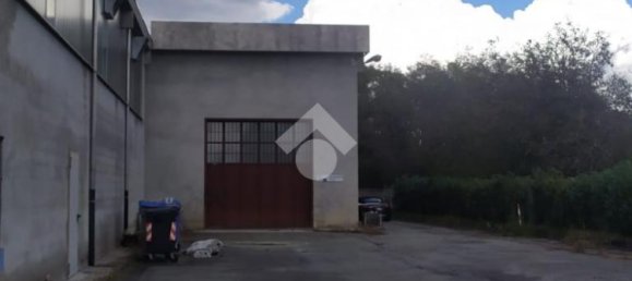 8 rooms Warehouse in San Carlo Canavese, Italy No. 53975 18