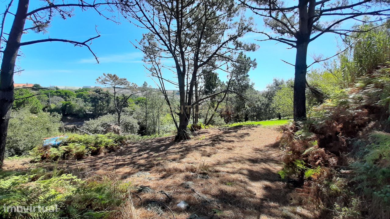  قطعة أرض في Mafra, Portugal 6000متر مربع رقم 349715