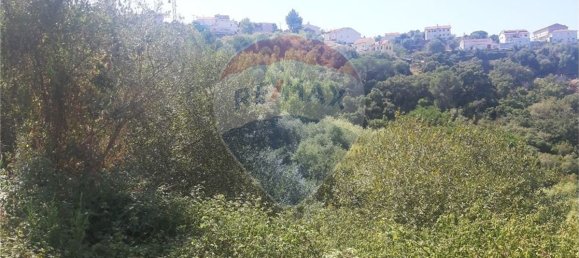 1529m² Land in Coimbra, Portugal No. 72618 3