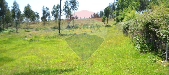  قطعة أرض في Aguiar de Sousa, Portugal 7492متر مربع رقم 43727 15