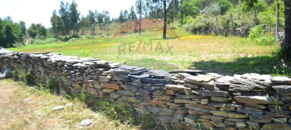  قطعة أرض في Aguiar de Sousa, Portugal 7492متر مربع رقم 43727 28