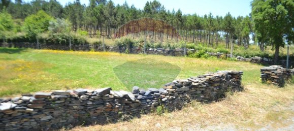  قطعة أرض في Aguiar de Sousa, Portugal 7492متر مربع رقم 43727 10