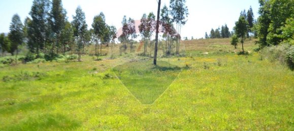  قطعة أرض في Aguiar de Sousa, Portugal 7492متر مربع رقم 43727 20