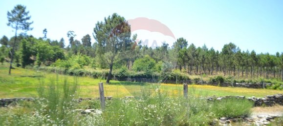  قطعة أرض في Aguiar de Sousa, Portugal 7492متر مربع رقم 43727 7