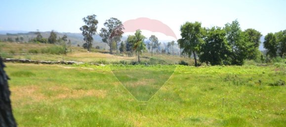  قطعة أرض في Aguiar de Sousa, Portugal 7492متر مربع رقم 43727 34