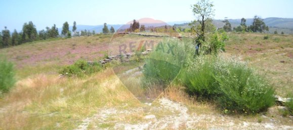  قطعة أرض في Aguiar de Sousa, Portugal 7492متر مربع رقم 43727 16