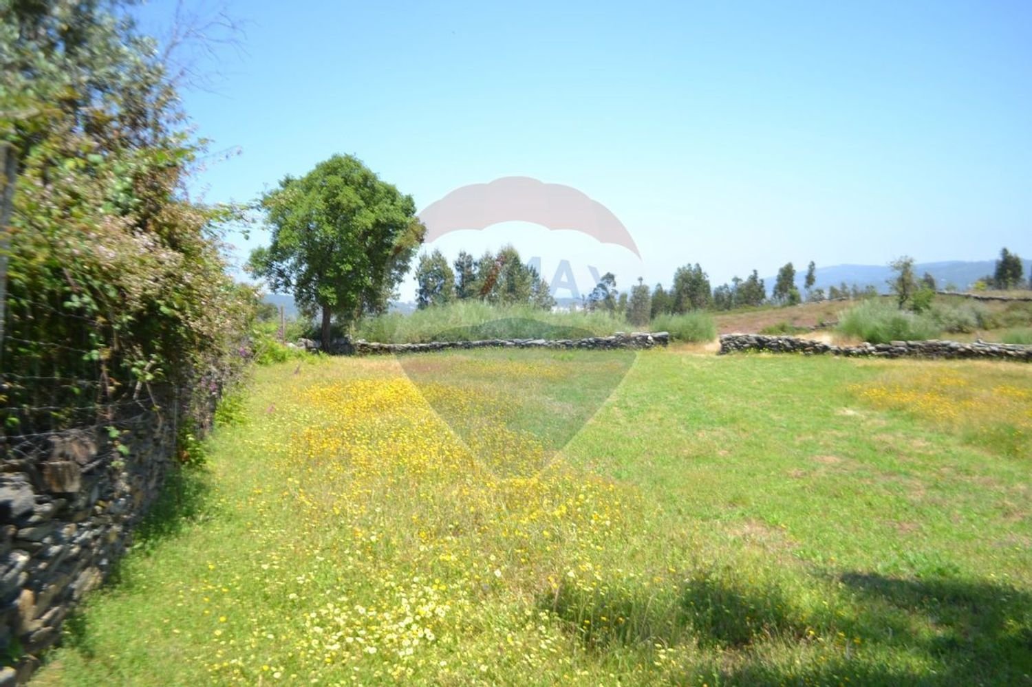  قطعة أرض في Aguiar de Sousa, Portugal 7492متر مربع رقم 43727