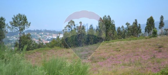  قطعة أرض في Aguiar de Sousa, Portugal 7492متر مربع رقم 43727 35